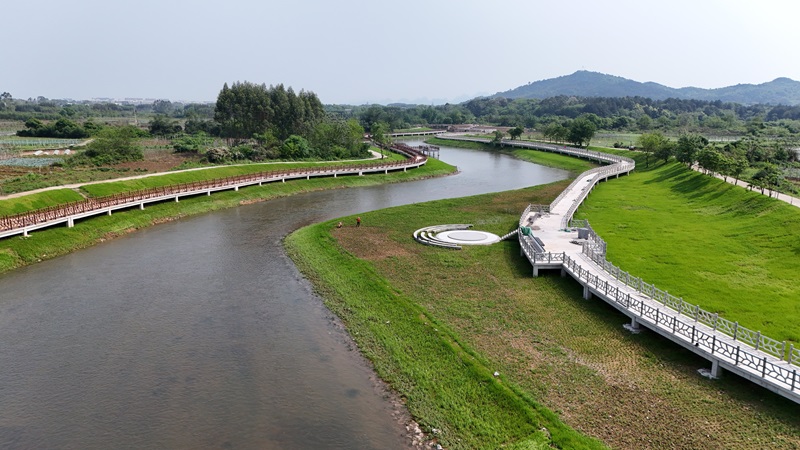 實(shí)干當(dāng)“夏”丨廣西工程咨詢集團(tuán)扎實(shí)開展漓江生態(tài)修復(fù)全咨項(xiàng)目評(píng)估驗(yàn)收